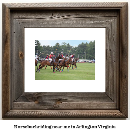 horseback riding near me in Arlington, Virginia